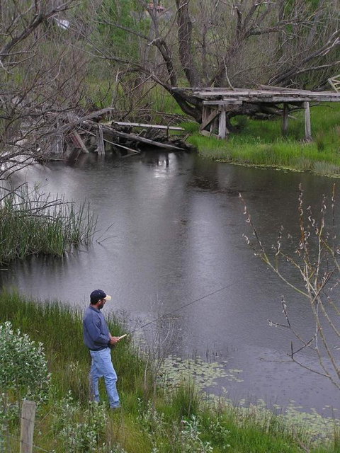 Bombala Caravan Park - Accommodation 4U 1