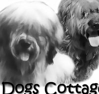2 Dogs Cottages - Accommodation 4U
