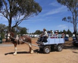 Ariah Park Camping Ground - Accommodation 4U 1