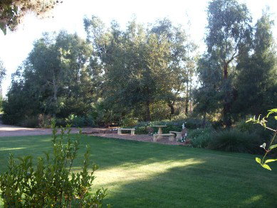 Wilga Park Cottage - Accommodation 4U 4