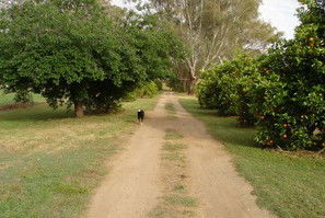 Murray Bank Holiday Units And Yabby Farm - Accommodation 4U 5