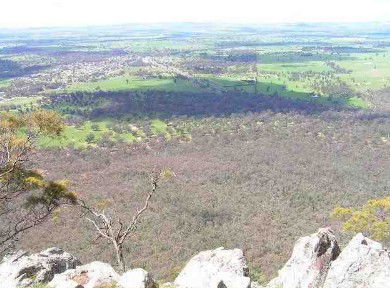 Henty Central Bed And Breakfast - Accommodation 4U 3