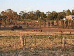 Junee Motor Inn - Accommodation 4U 2