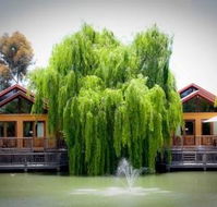 Perricoota Vines Retreat - Accommodation 4U