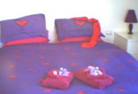 Aloomba Lavender - Accommodation - Accommodation 4U 0