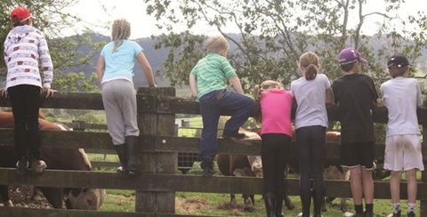 Ashmar Farm Stay - Accommodation 4U 4