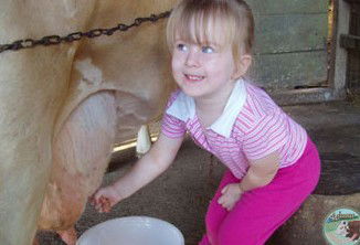 Ashmar Farm Stay - Accommodation 4U 5