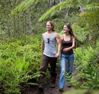 Blackheath Glen Tourist Park - Accommodation 4U