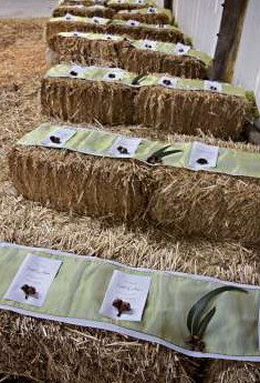 Bathurst Goldfields Accommodation - Accommodation 4U 0