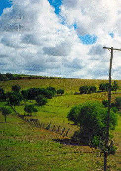 Mango Hill Cottages Bed And Breakfast - Accommodation 4U 2