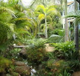 Chamomile Bed and Breakfast - Accommodation 4U