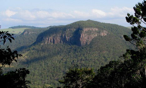Arborlee Rainforest Retreat - Accommodation 4U 3