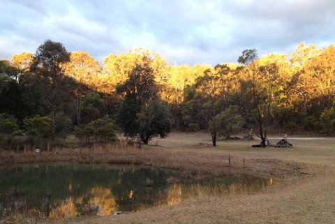 Possums Hollow And Hooters Hut - Accommodation 4U 1