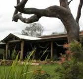 The Hollow Log Country Retreat - Accommodation 4U