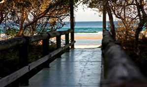 Anchorage Beachfront Island Resort - Accommodation 4U 4