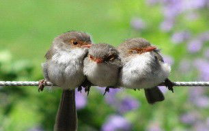 Eagles Rest Retreat - Accommodation 4U 3