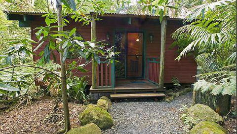 Springbrook Lyrebird Retreat - Accommodation 4U 0