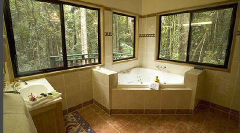 Springbrook Lyrebird Retreat - Accommodation 4U 2
