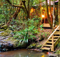 The Mouses House - Rainforest Retreat - Accommodation 4U