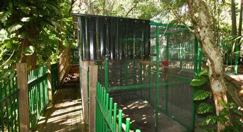 Ashmore Palms Holiday Village - Accommodation 4U 3