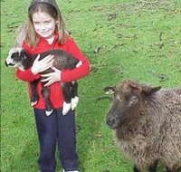 Cinnamon Coloureds Farmstay - Accommodation 4U