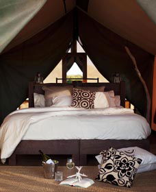 Sal Salis Ningaloo Reef - Accommodation 4U 0