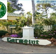 Carmelot Bed  Breakfast - Accommodation 4U