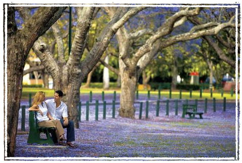 Kirkland House B&B - Accommodation 4U 3