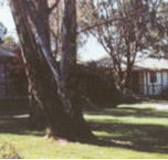Winbi River Resort - Accommodation 4U