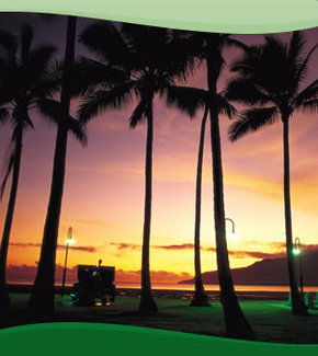 Bay Village Tropical Retreat, Cairns - Accommodation 4U 1