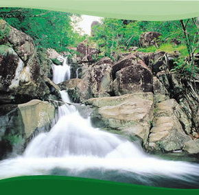 Bay Village Tropical Retreat, Cairns - Accommodation 4U 2