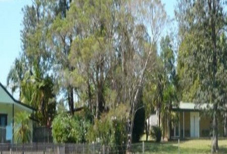 Nimbin Backpackers At Grannys Farm - Accommodation 4U 0