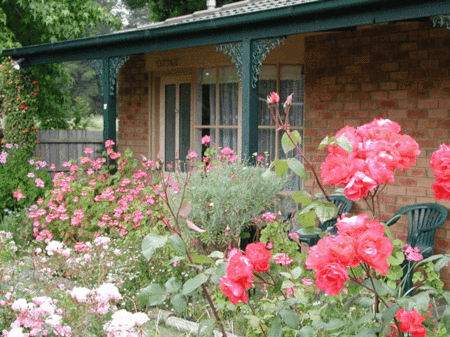 Balnarring Village Motor Inn - Accommodation 4U 5