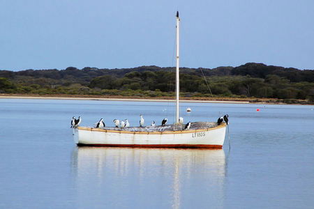 Riverview Cottage - Accommodation 4U 1