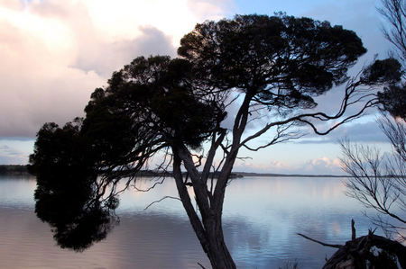 Riverview Cottage - Accommodation 4U 4