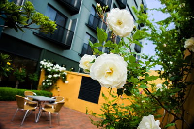 The Old Woolstore Apartment Hotel - Accommodation 4U 5