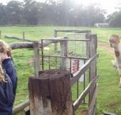 Boronia Farm Farmstay - Accommodation 4U