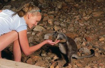 Heaviytrr Gap Outback Lodge - Accommodation 4U 5