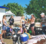 Shark Bay Cottages - Accommodation 4U