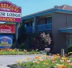 Strzelecki Motor Lodge - Accommodation 4U