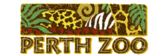 Perth Zoo - Accommodation 4U