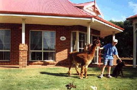  Accommodation 4U