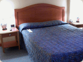 Diana Plaza Hotel - Accommodation 4U 3