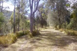 Toms Creek Retreat - Accommodation 4U 1