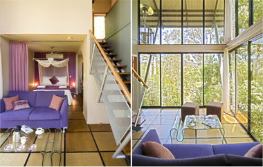 EcOasis - Accommodation 4U 1