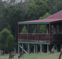 Walpole Wilderness Resort - Accommodation 4U