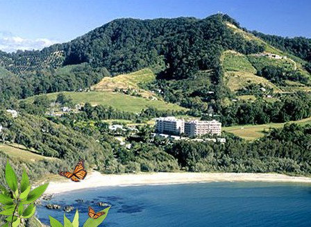 Absolute Beachfront Novotel Pacific Bay - Accommodation 4U 3