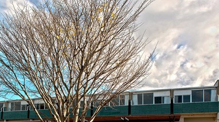 St Helens Bayside Inn - Accommodation 4U 1