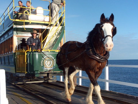 Comfort Inn Victor Harbor - Accommodation 4U 5