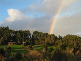 Lavender And Berry Farm - Accommodation 4U 3